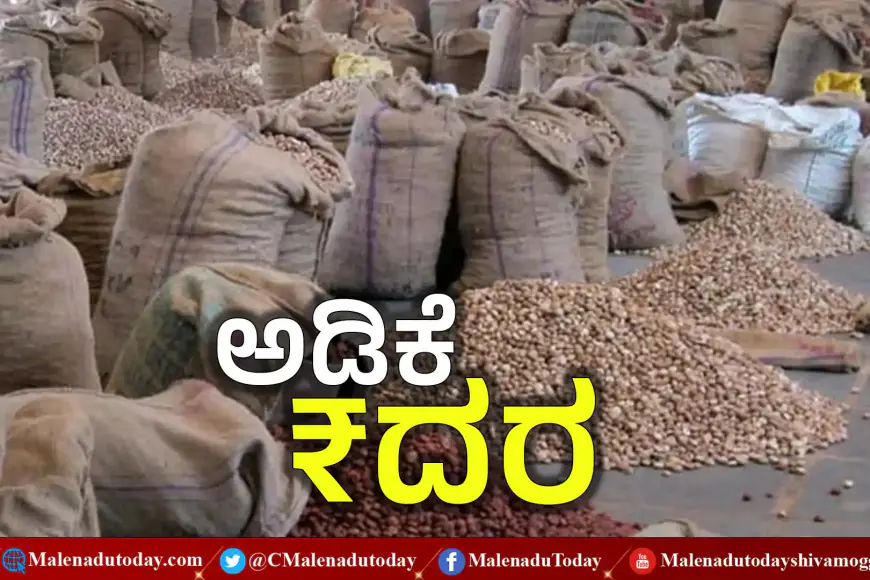 ಶಿವಮೊಗ್ಗ ಮಾರುಕಟ್ಟೆಯಲ್ಲಿ ಏರಿದ ಅಡಿಕೆ ದರ! ಶಿವಮೊಗ್ಗದಿಂದ ಶಿರಸಿಯವರೆಗೆ, ರಾಜ್ಯದ ಪ್ರಮುಖ ಮಾರುಕಟ್ಟೆಗಳ ಅಡಿಕೆ ಧಾರಣೆ ವಿವರ